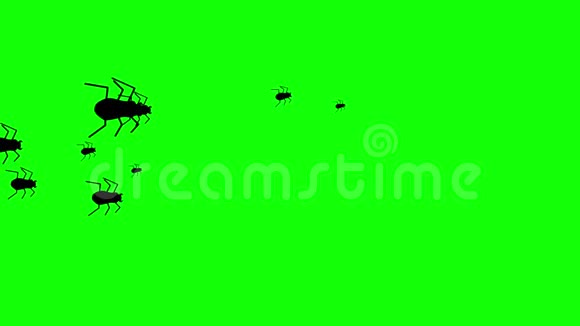 成群的令人毛骨悚然的扁平风格万圣节甲虫在绿色背景下奔跑4k视频的预览图