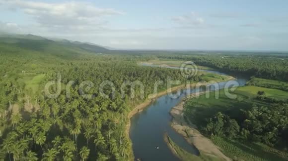 热带景观棕榈树河流山脉视频的预览图