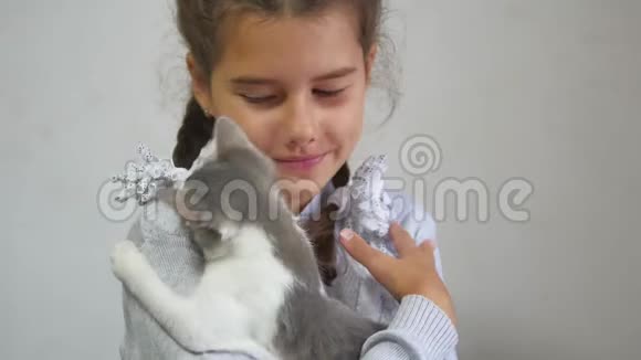 女孩和小猫一个十几岁的女孩在室内手抱小猫少女与猫视频的预览图