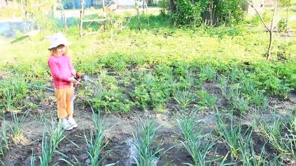 小女孩正在给花园和床上浇水果园灌溉视频的预览图