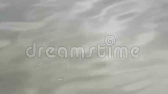 太阳湖闪耀着水的纹理视频的预览图