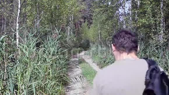 人走在森林路旁视频的预览图