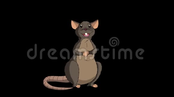 布朗老鼠坐着笑动画阿尔法马特视频的预览图
