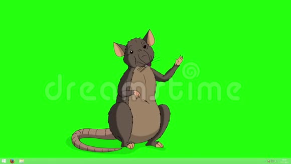 棕色老鼠迎接并挥动它的爪子动画Chroma键视频的预览图