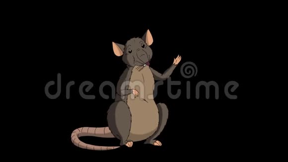 布朗老鼠迎接并挥动它的爪子动画阿尔法马特视频的预览图