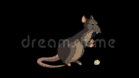 布朗老鼠坐着吃奶酪动画阿尔法马特视频的预览图