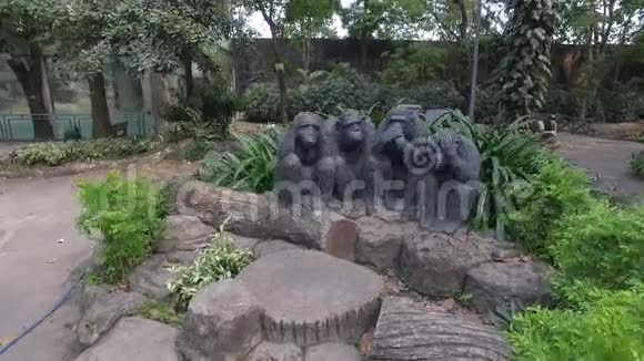 西贡动物园和植物园视频的预览图