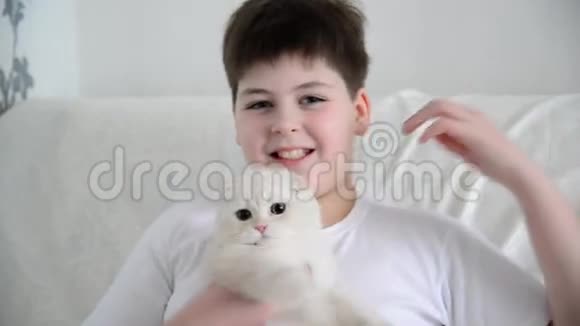 小男孩和小猫玩了4个月视频的预览图