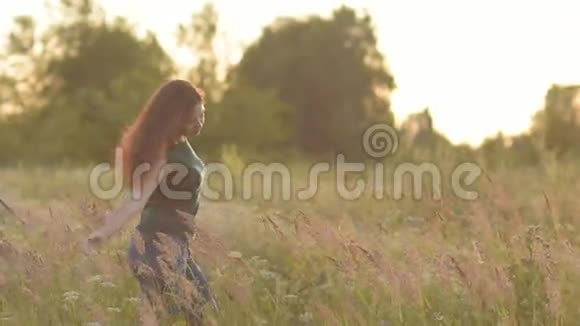 幸福的年轻女子走在田野里用手抚摸着植物视频的预览图