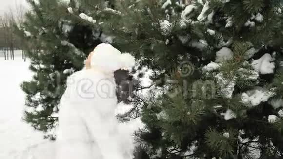 年轻女子穿着白色的冬衣在一棵大松树旁旋转视频的预览图