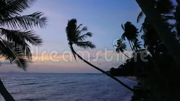 日落时棕榈树的海滨鸟瞰图带海景的热带海岸线视频的预览图
