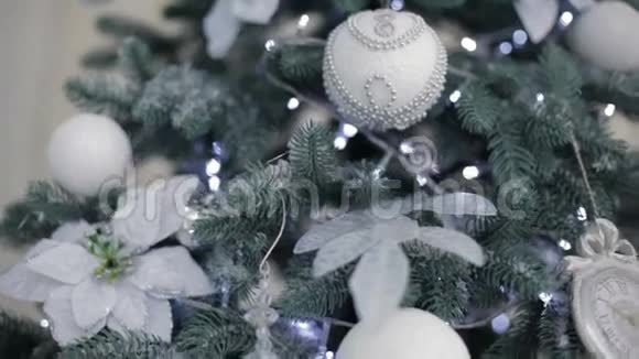 漂亮的杉树还有圣诞装饰视频的预览图