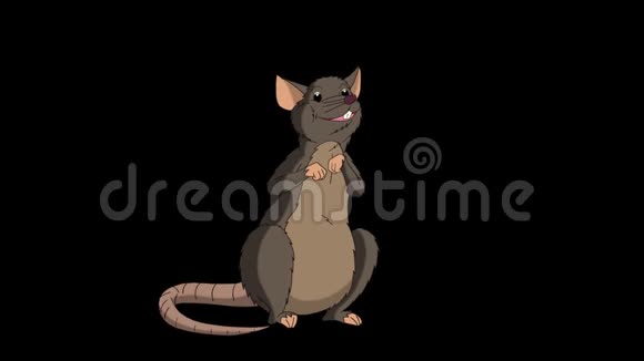 布朗老鼠坐着聊天动画阿尔法马特视频的预览图