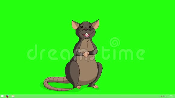 布朗老鼠坐着笑动画ChromaKey视频的预览图