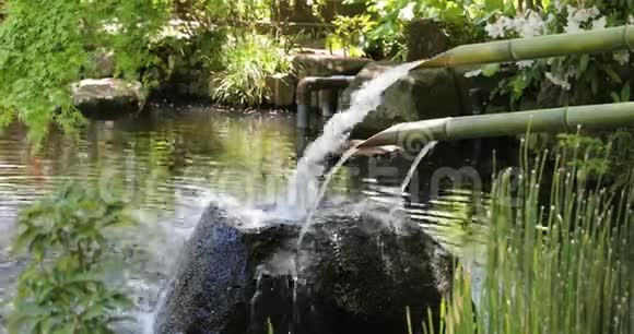 日本喷泉和竹包视频的预览图