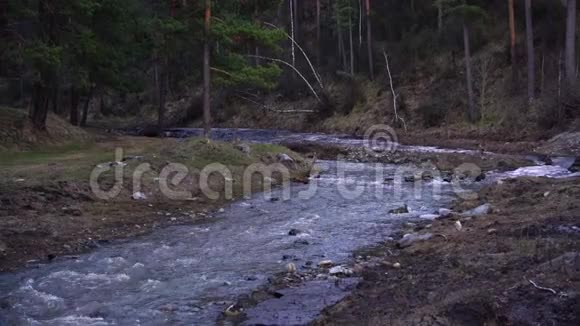 山河从林中流淌视频的预览图