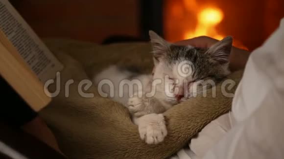 可爱的救援小猫在壁炉放松在新主人的膝盖视频的预览图