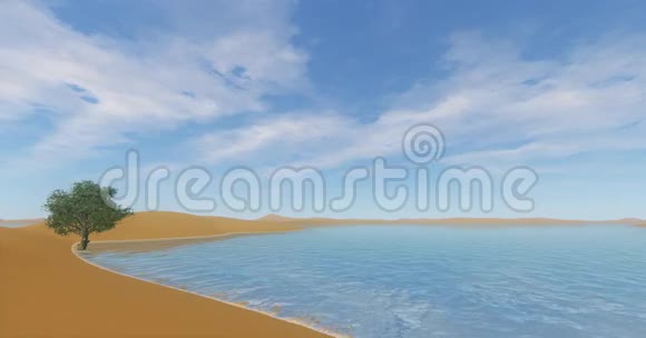 在沙漠和沙丘上飞行的4k云在海洋海滩上的一棵孤独的树视频的预览图