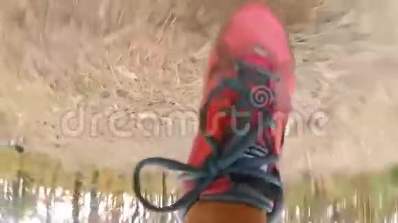 在森林里奔跑的奔跑脚的录像视频的预览图