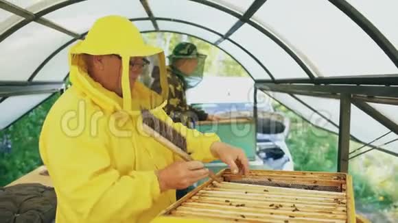 两名养蜂人在夏季工作时检查框架和收获蜂蜜视频的预览图