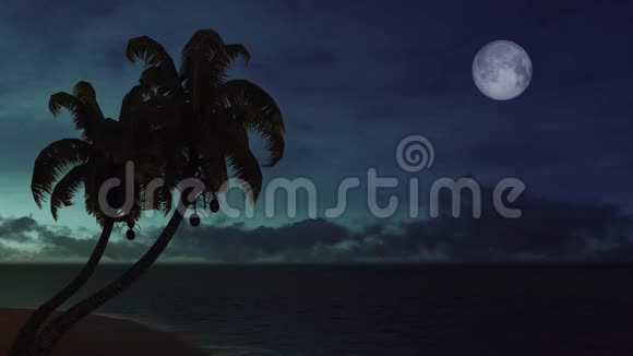 棕榈树的轮廓和夜空中落下的星星视频的预览图