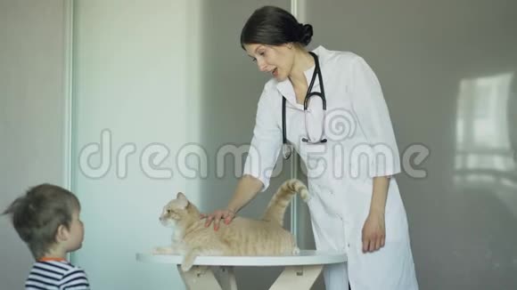 兽医女检查猫与小男孩主人在医疗办公室视频的预览图