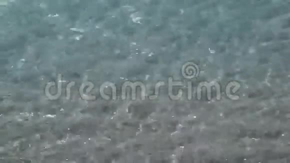 热带海滩上的一阵阵清澈的海水细节视频的预览图