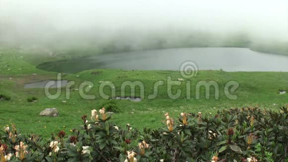森林里湖上的薄雾水面上有雾森林湖雾蒙蒙的早晨森林湖晨雾视频的预览图
