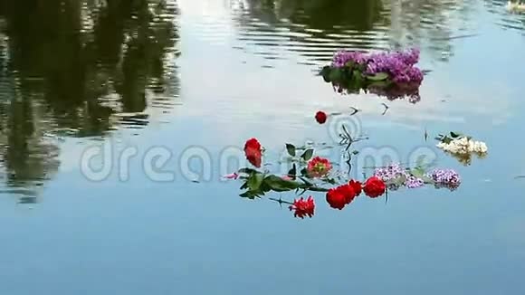 一束束的康乃馨和紫丁香视频的预览图