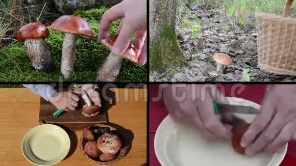 用手采摘橘红色的蘑菇用刀清洗拼贴视频的预览图