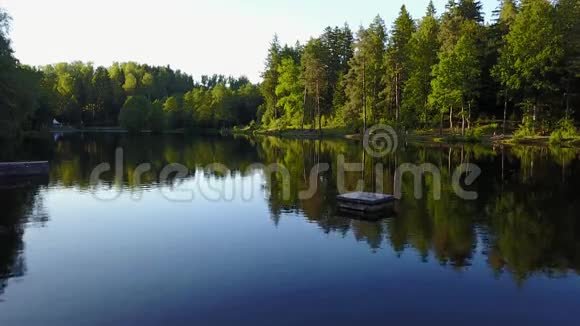 德国的一个湖的景色在上面飞行树上的景色很好伊比尼斯慢镜头移动视频的预览图