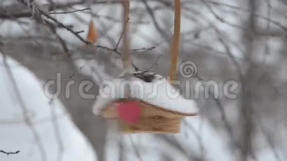 鸟儿从篮子里啄食种子他在那里贴上了红心阴天和降雪视频的预览图
