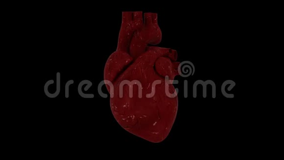 人类心脏跳动4K无缝环在黑色与卢马马特视频的预览图