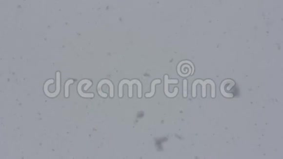 白天大量的雪花从天空中缓缓落下视频的预览图