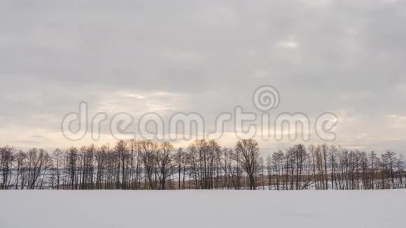 冬季景观树木上方飞云的时间推移时光流逝视频的预览图