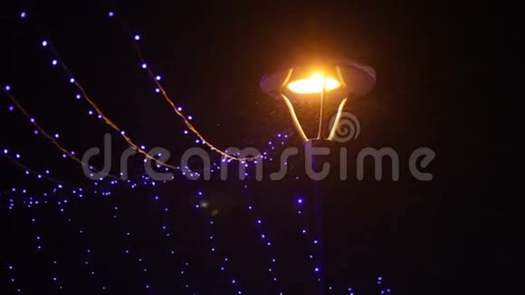 带灯笼和花环的夜间冬季公园视频的预览图