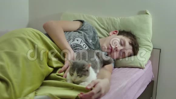 十几岁的男孩睡在床上男人在室内疲倦毛茸茸的十几岁男孩睡觉宠物猫视频的预览图
