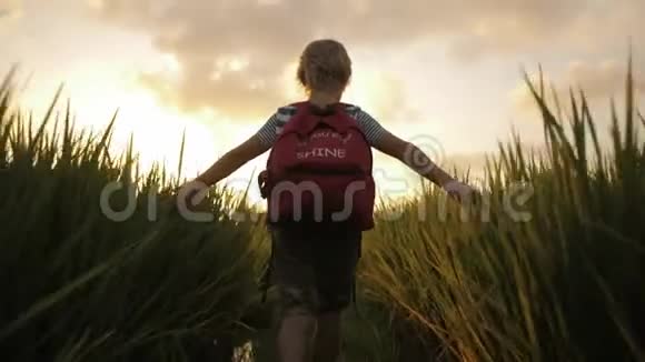 放学回家路上稻田绿草中的孩子视频的预览图