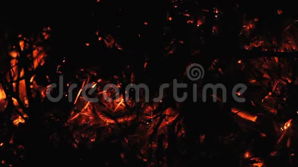 燃烧树枝时燃烧的余烬视频的预览图