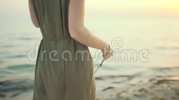 年轻美丽的旅游妇女与吉娃娃狗在岛上散步阳光明媚的一天女性在海滩散步视频的预览图