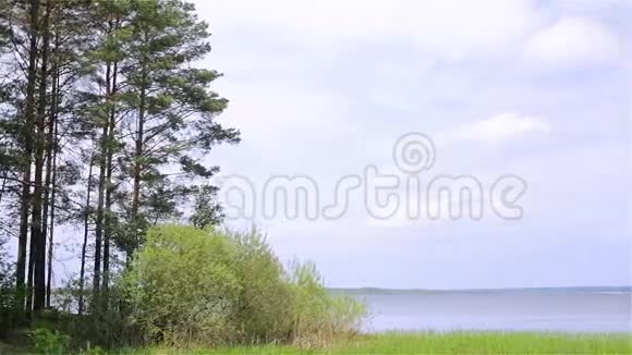 乡村景观自然湖视频的预览图