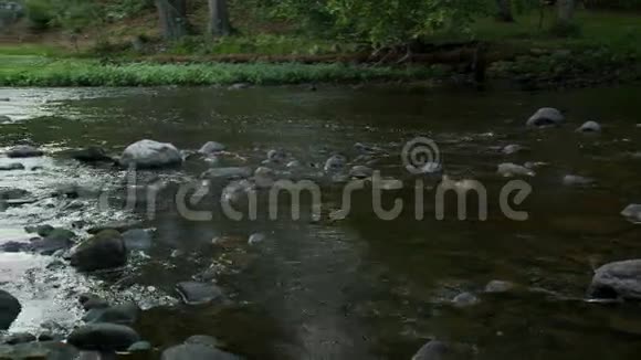 溪流4中3视频的预览图