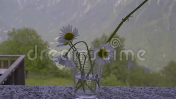 窗台上盛开的花朵的特写视频的预览图