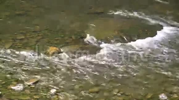 快速移动的溪流5的2视频的预览图