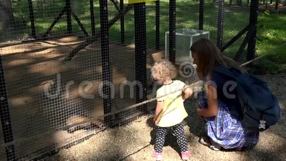 动物园雪貂动物笼子附近的幸福家庭妇女和儿童女孩视频的预览图