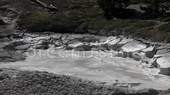 黄石公园的泥坑视频的预览图