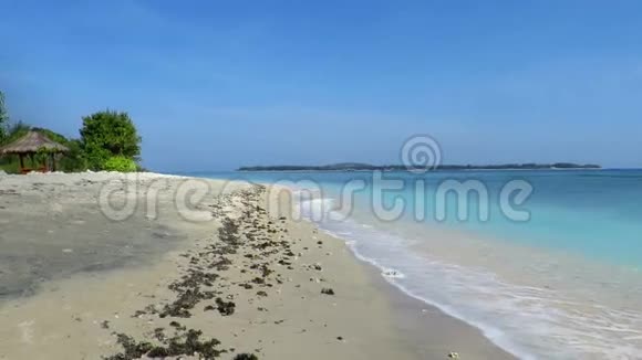 女孩走在美丽的沙滩上视频的预览图