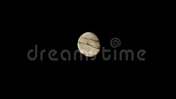 死亡森林中满月的升起视频的预览图