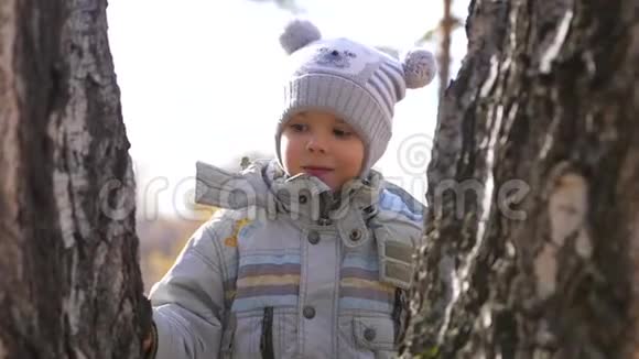 秋天公园里的一个孩子在新鲜的空气中散步一个美丽的风景胜地视频的预览图