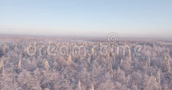 在寒冷的一天飞行期间鸟瞰冬季林地视频的预览图